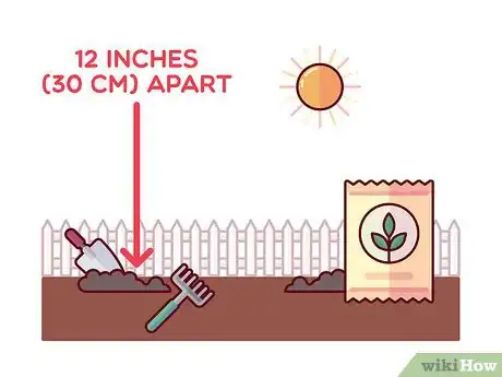 Image titled Grow Toothpick Weed Step 4