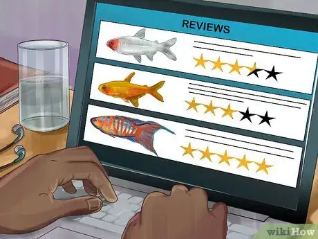 Image titled Buy a Fish for a Child Step 8