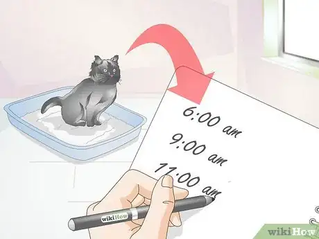 Image titled Diagnose Urinary Tract Disease in Cats Step 1