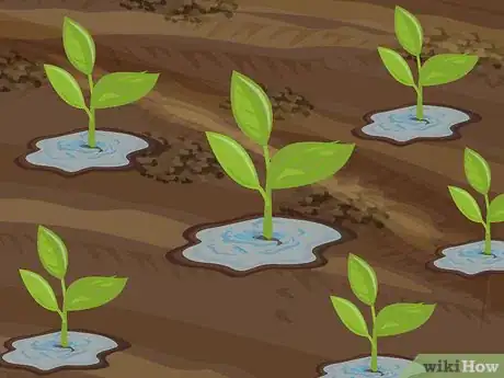 Image titled Plant Your First Garden Step 16