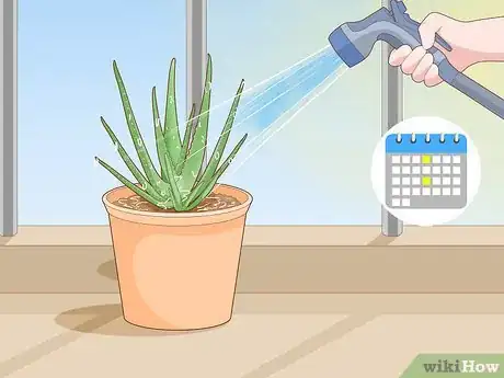 Image titled Keep an Aloe Vera Plant Fresh Step 3