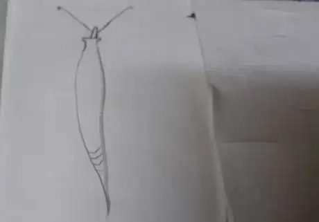 Image titled 20180715_202643