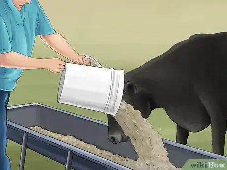 Image titled Treat and Prevent Nitrate Toxicity in Cattle Step 26