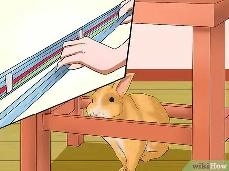 Image titled Know if You're Ready to Care for a Bunny Step 5