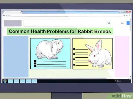 Image titled Choose a Pet Rabbit Step 5
