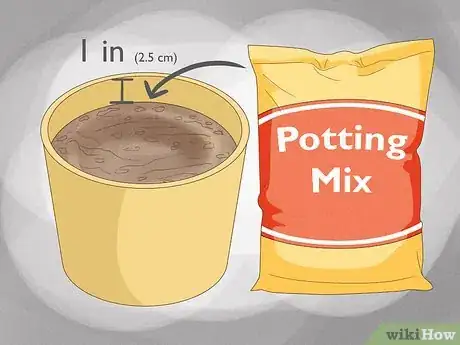 Image titled Grow Figs in Pots Step 3