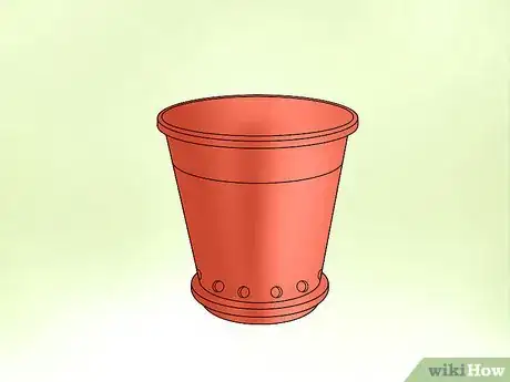 Image titled Plant Confederate Jasmine Step 17