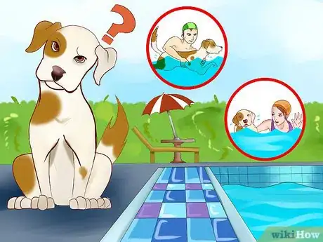 Image titled Protect Your Dog Around Backyard Pools Step 1
