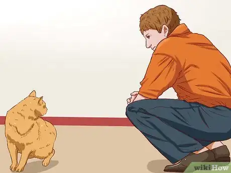 Image titled Get a Cat for a Pet Step 9