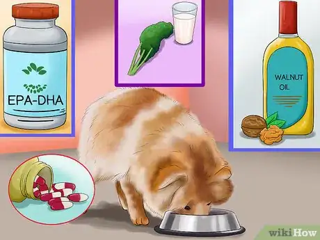 Image titled Choose All Natural Pet Food for Pomeranians Step 4
