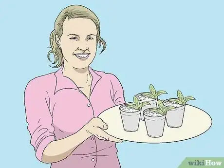 Image titled Throw a Kentucky Derby Party Step 9