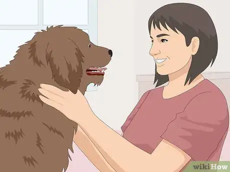 Image titled Name a Pet Step 2