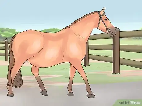 Image titled Prepare a Mare for Foaling Step 3