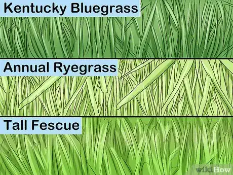 Image titled Choose Sod for Your Yard Step 3