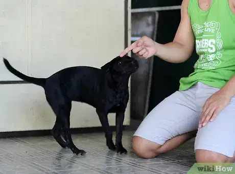 Image titled Tame Your Dog Step 8