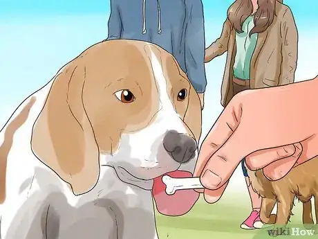 Image titled Socialize Your Dog Step 2