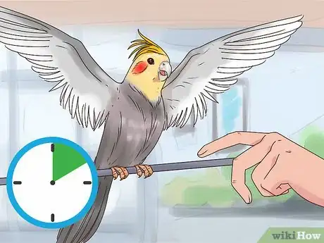 Image titled Train Cockatiels Step 3