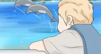 Pet a Dolphin
