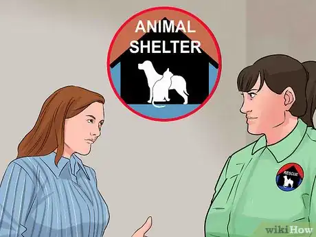 Image titled Find Low Cost Dog Training Step 7