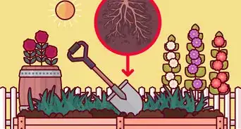 Care for Landscape Plants