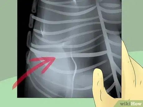 Image titled Diagnose a Cat Cough Step 9