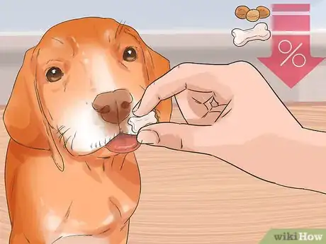 Image titled Improve the Appetite of an Older Dog Step 5