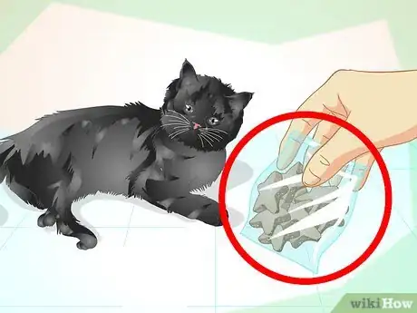 Image titled Train an Old Stubborn Cat to Do Tricks Step 2