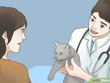 Image titled Diagnose a Cat Cough Step 5