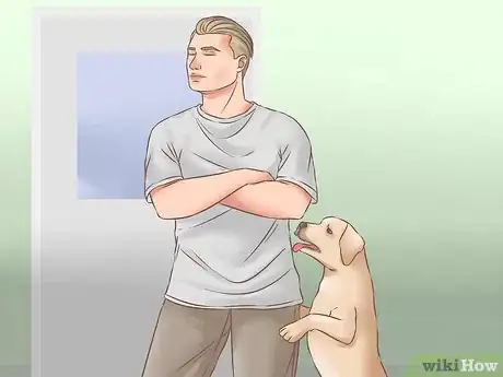 Image titled Choose a Training Program for Your Dog Step 2