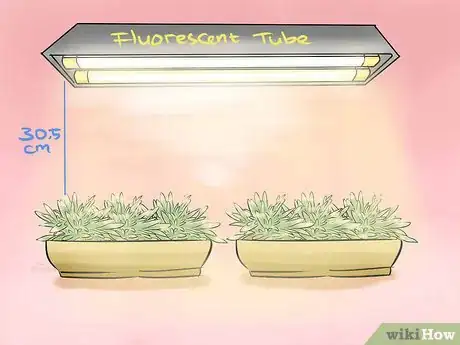 Image titled Grow Herbs Indoors Under Lights Step 5