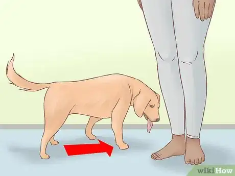 Image titled Become Friends with an Unfriendly Dog Step 13
