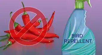 Keep Birds from Nesting