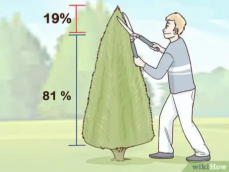 Image titled Prune Arborvitae Step 7