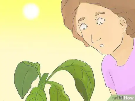 Image titled Raise Gardenias in Pots Step 13