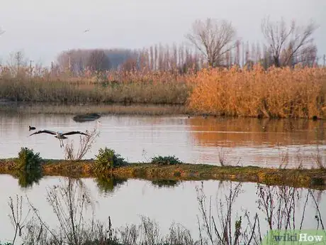 Image titled Find a Good Bass Fishing Spot Step 8