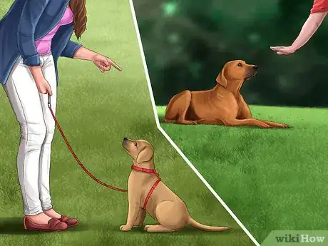Image titled Be Good With Small Dogs Step 9