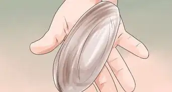 Dig Pacific Razor Clams