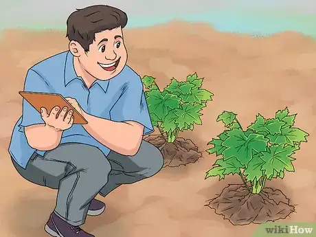 Image titled Grow Delphinium Step 25