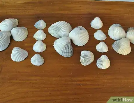 Image titled Make a Seashell Planter Step 3