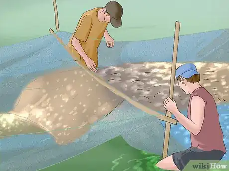 Image titled Harvest Catfish Step 11