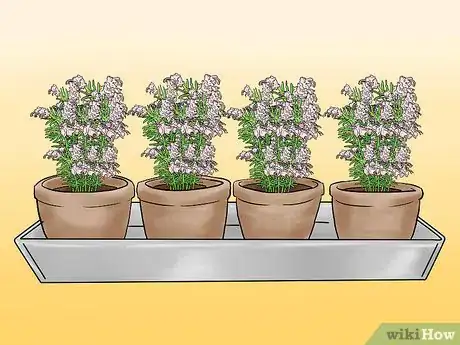 Image titled Grow Herbs Indoors Under Lights Step 3