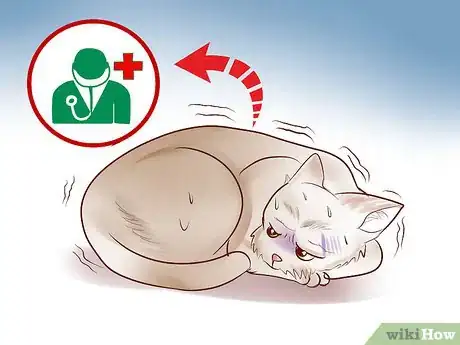 Image titled Adopt an Old Cat Step 15