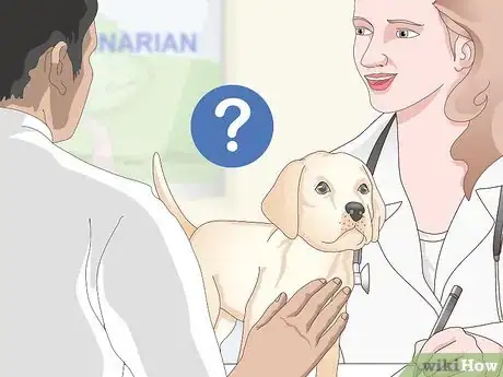 Image titled Pick the Best Dog Food Step 12