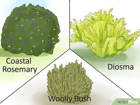 Image titled Design a Beach‐Themed Garden Step 9