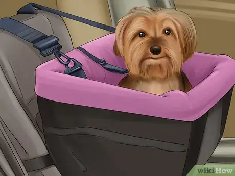 Image titled Know if You Are Ready for a Dog Step 43