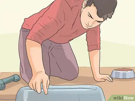 Image titled Introduce a New Puppy Step 5