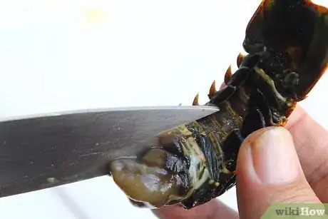 Image titled Grill Lobster Tails on a Gas Grill Step 6