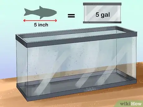 Image titled Buy a Fish for a Child Step 1