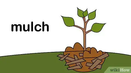 Image titled Plant a Tree Step 19