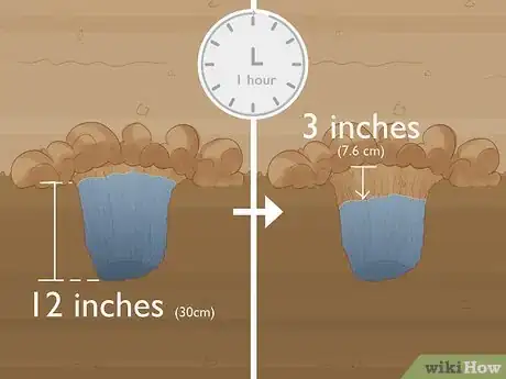 Image titled Plant English Bluebell Bulbs Step 7